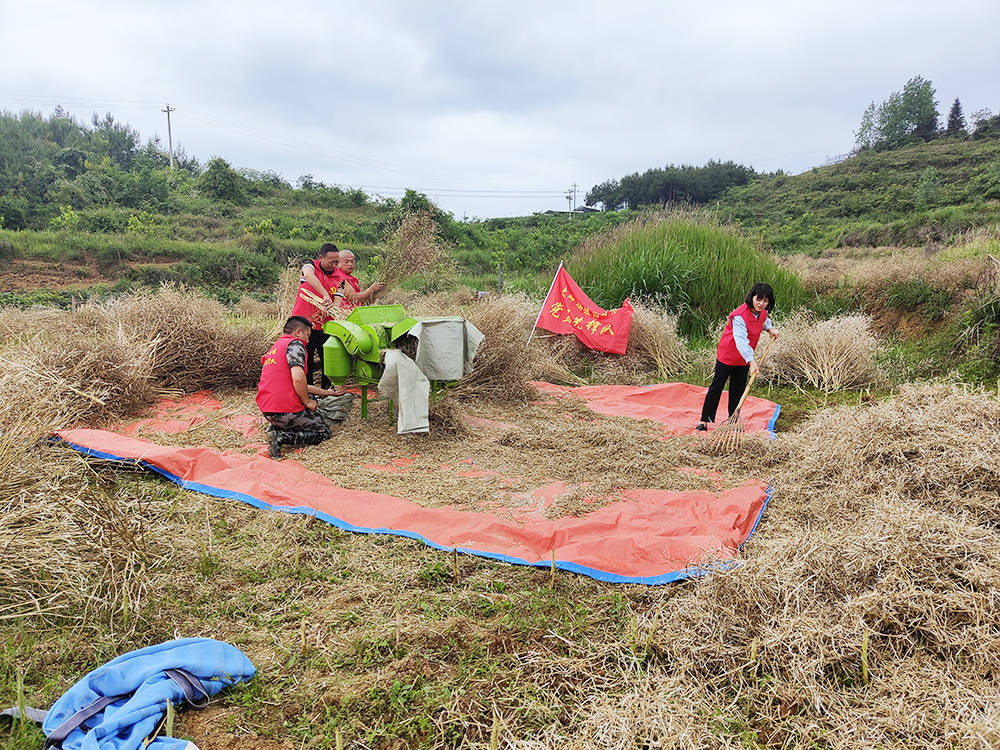 松桃：党建引领促振兴  幸福村景入画来