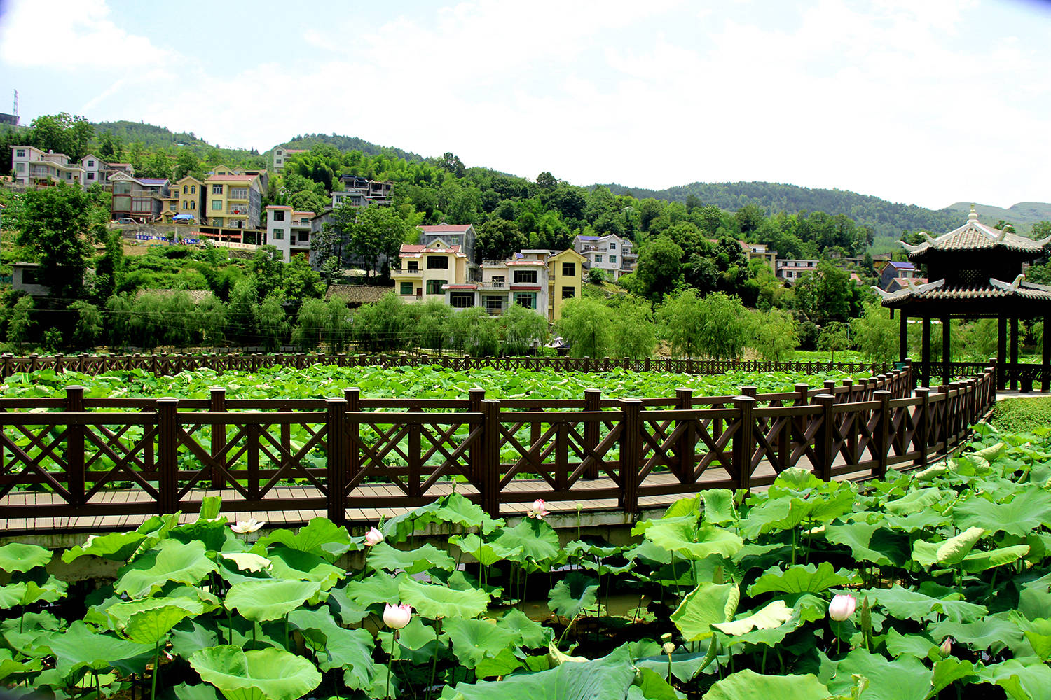 松桃：党建引领促振兴  幸福村景入画来