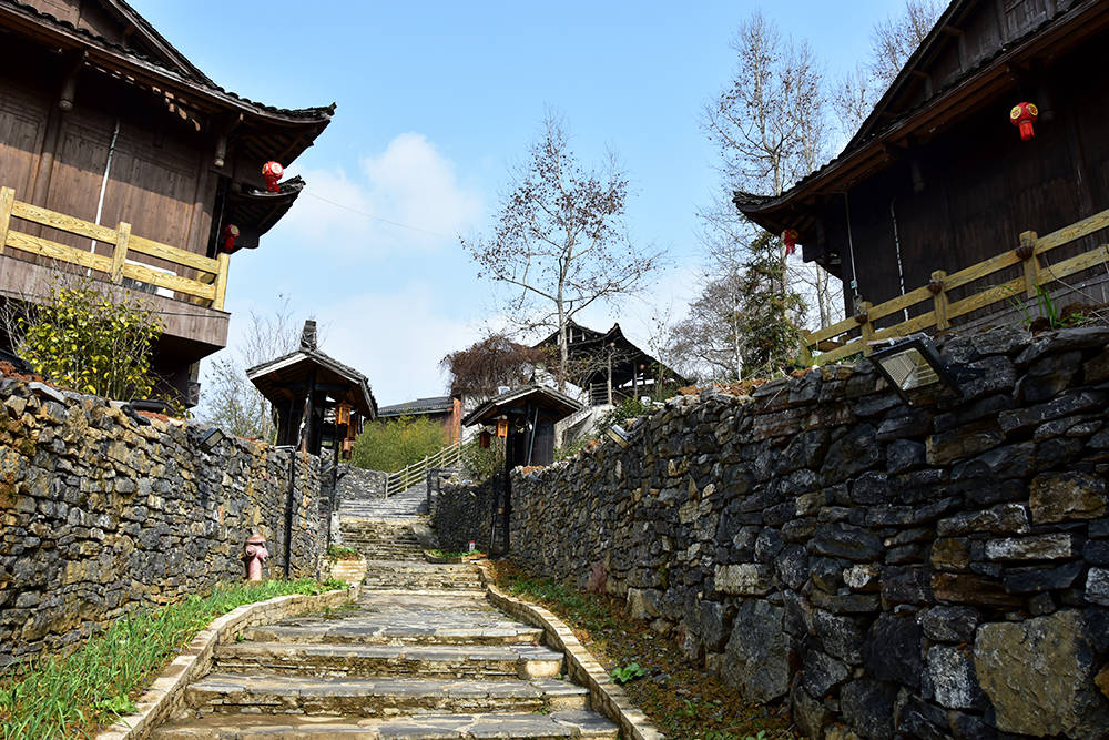 松桃：“三力”引领闯新路　乡村振兴活起来