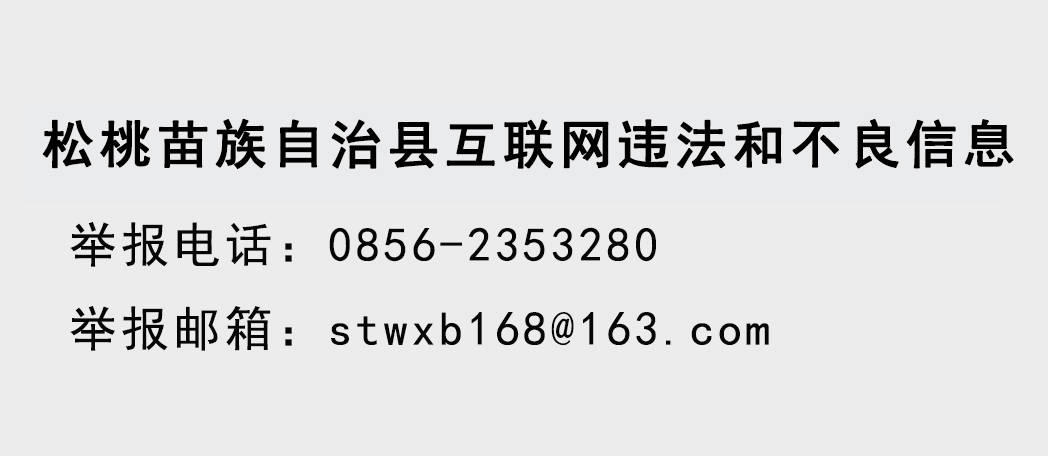 “守望相助勇毅前行共谱多彩贵州现代化建设松桃新篇章”——松桃举办第二十二期VV沙龙活动